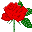 rose.gif (345 bytes)